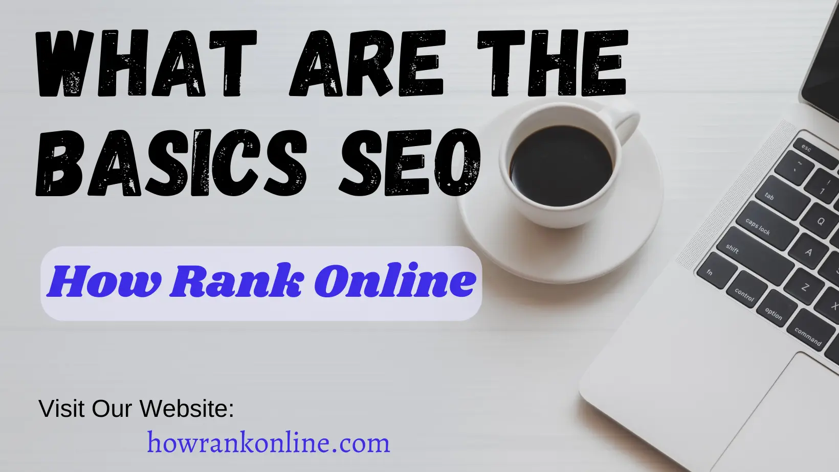 Basics Of SEO, How rank online